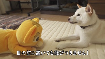向かい合ってのんびり