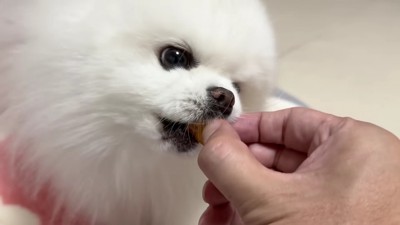 「こうかな？」