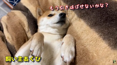 飼い主さんがあくびをしたら…