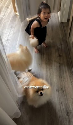 幼児と小型犬