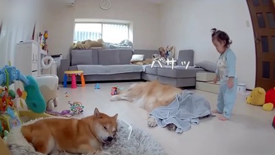 「タオルどうぞ！」