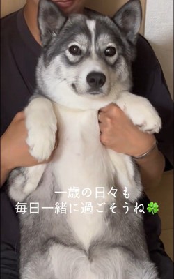 はまちちゃんの成長記録⑩