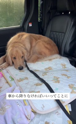 「ここにいます」