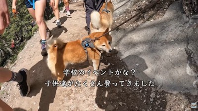 下山中、学生さんたちに遭遇