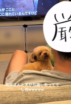 遠吠えを始めたあられちゃん