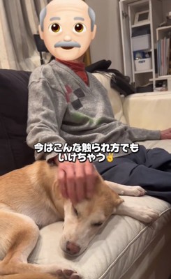 おじいちゃんに撫でられるワンコ1