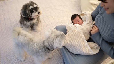 そっと見守る2匹