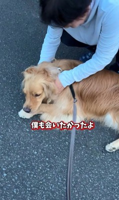 ピノくんとご夫婦の再会5