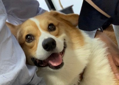 最後はニッコリ♡