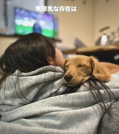 仰向けの女の子の上で気持ちよさそうに眠るカニヘンダックスフンド