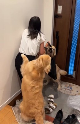 手前から飛びかかる