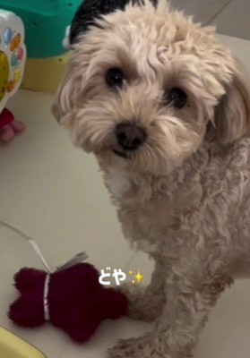 満足そうな顔にほっこり