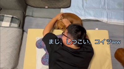 容赦ない構って攻撃！