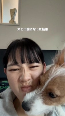 飼い主に顔を近づける犬