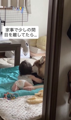 とっても仲良し