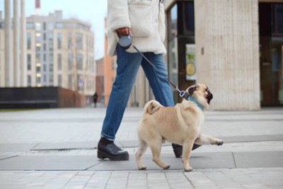 飼い主と散歩する犬