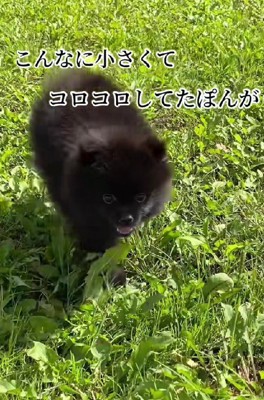 成長が楽しみ!!