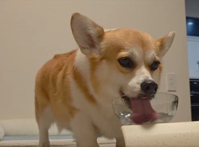 水分補給