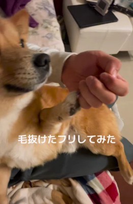 「ちょっと待って…」