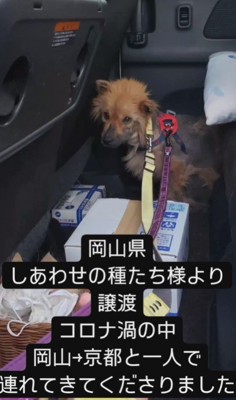 疥癬を患っていた