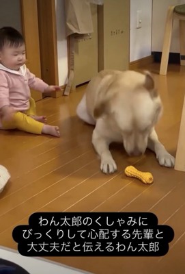 赤ちゃん、全身でビクッ！
