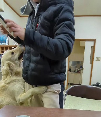 「採用！！採用！！」