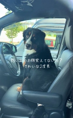 お母さんを見るはくちゃん