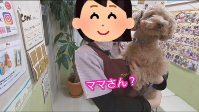 お店の店員に抱き抱えられる犬