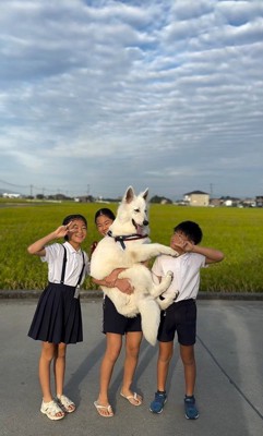 成長中のまる君