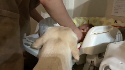 「ちゃんと眠れるかな?」