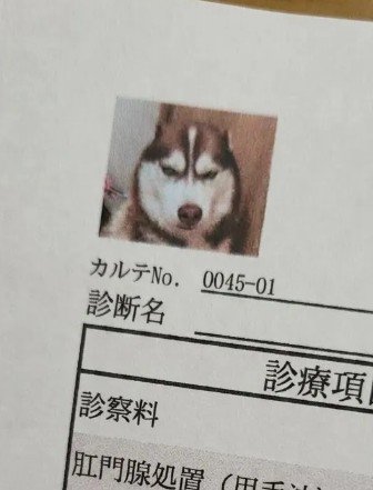まさかのブチギレ顔!!