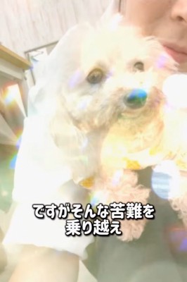 抱っこされるショコタン