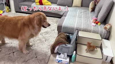 「気を付けて」