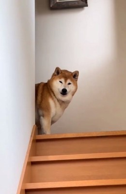 無表情の福ちゃん