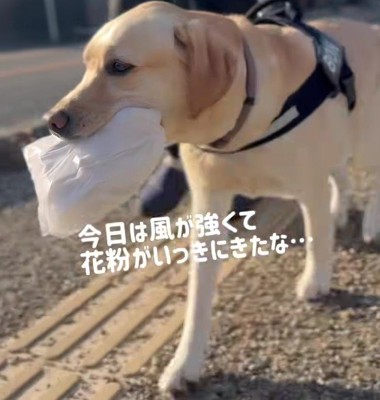 おばあちゃんにパンをお届け