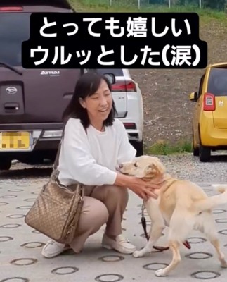 飼い主に首を撫でられる犬