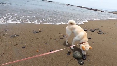 背後から波が押し寄せたら…