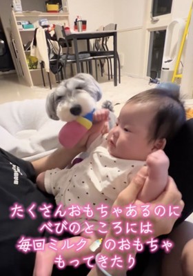 家族が増えました!