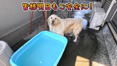 涼しくなって大満足♪