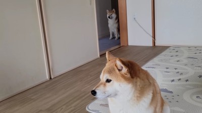 どこにもいない…