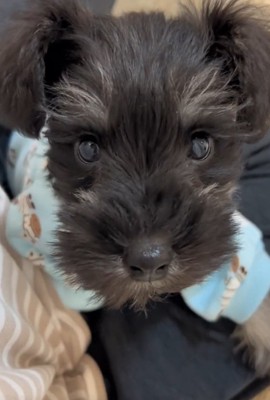 ドアップのゆずくん