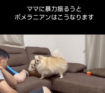 「なんてことをっ」