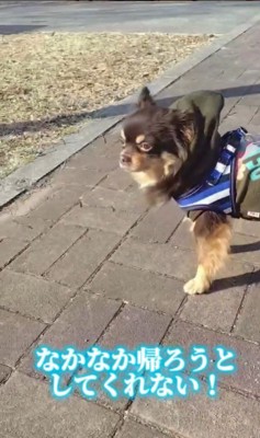 幸せを掴んだしずと君8