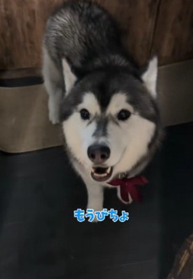 「なかなか楽しかったよ」