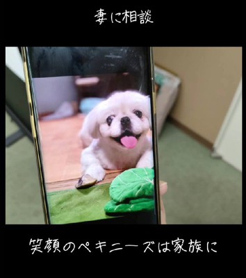 そして、投稿主さんの元へ