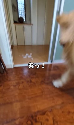 砕けた氷のかたまり