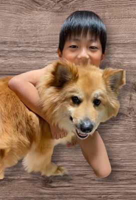 男の子と犬