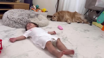 2歳のほのちゃんは元気いっぱい