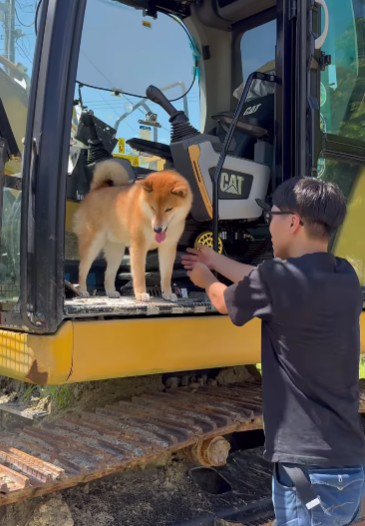 「降りられない…」