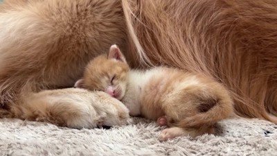 まるで親子のよう